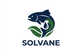 Solvane 带文字 Logo
